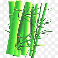 夏日绿色竹子素材