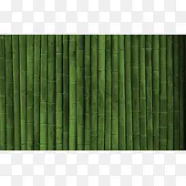 绿色竹子宽屏背景
