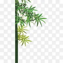 竹子 左边png素材