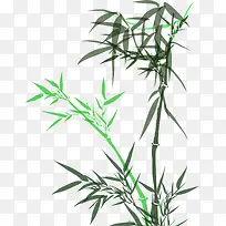 绿色竹子宣传海报