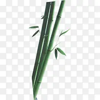 绿色竹子设计中国风