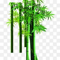 绿色竹子装饰清新