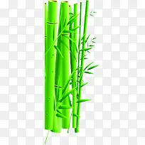 绿色竹子手绘