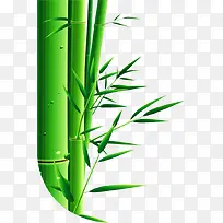 端午节竹子装饰图片