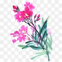 手绘花草