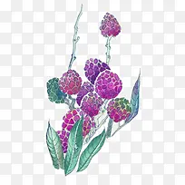 彩墨花卉