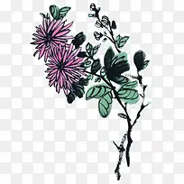 手绘雏菊