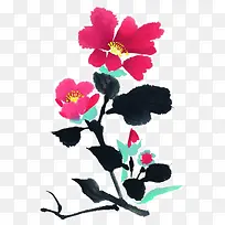 国画花卉