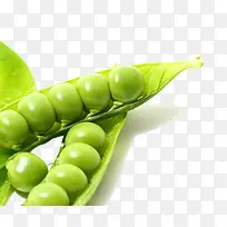 豌豆荚