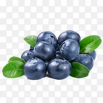 蔬果蓝莓