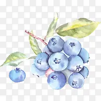 水果蓝莓