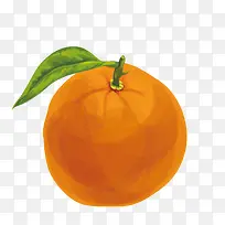 矢量彩绘橘子