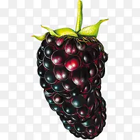 手绘紫色食物营养水果