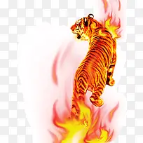 燃烧大老虎