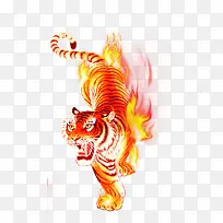 全身带火焰的老虎