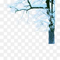 高清摄影冬天树木雪花