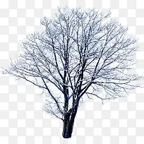 创意合成摄影冬天的树木造型