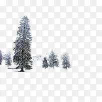 创意合成冬天的森林合成摄影