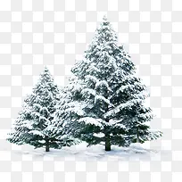 高清摄影创意合成效果冬天的圣诞树