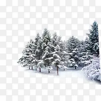 高清摄影创意合成冬天的森林