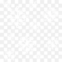 白色雪花图案