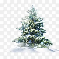 圣诞节雪花大树装饰