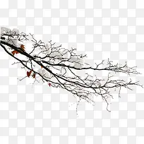 高清冬季雪花树枝