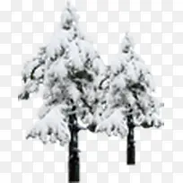 高清创意白色的雪花松树