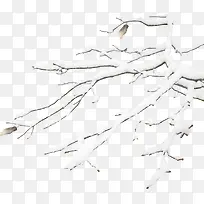 高清摄影合成白色的雪花树枝