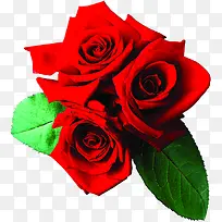 红色热情浪漫玫瑰花婚庆