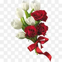 鲜艳白色红色的玫瑰花