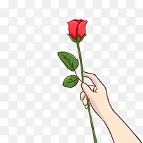 手拿玫瑰花红色花朵