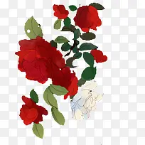 水彩红色玫瑰花花瓣