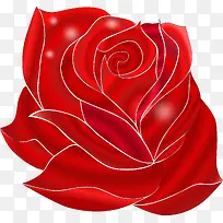 漂亮红玫瑰