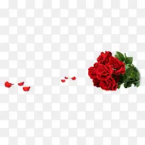 一束红色玫瑰花 玫瑰花瓣