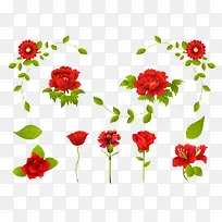 红玫瑰，康乃馨，花卉