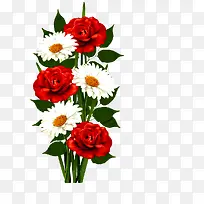 红玫瑰白菊花手绘PNG素材