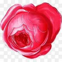 手绘红色分层花朵玫瑰