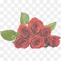 红色梦幻玫瑰花朵花束