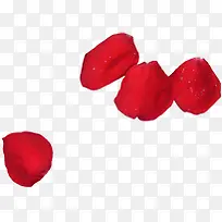 红色浪漫玫瑰花瓣