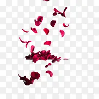 红色玫瑰花瓣漂浮装饰