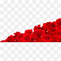 情人节红玫瑰背景图