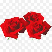 红玫瑰婚庆图片设计