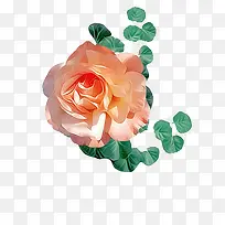 玫瑰花粉红花朵漂浮