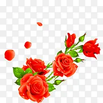 红色玫瑰植物婚庆