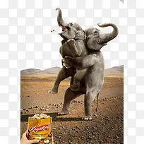 大象抱小象