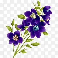 紫色的大鲜花