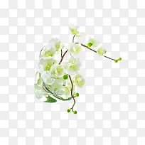 艺术造型 插花花艺