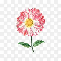 粉色花朵装饰