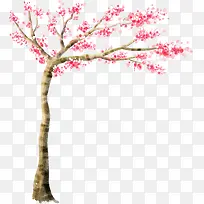 春天唯美梦幻花朵大树